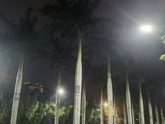 -西安国际创新人才交流中心•药浴温泉
