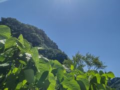 -大岭沟猕猴桃谷风景区