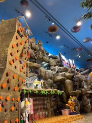 -卡通尼·Safari非洲探索乐园·生日会(金桥国际商业广场店)