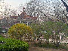 -睦南公园