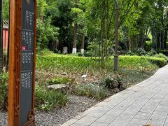 -望江楼公园