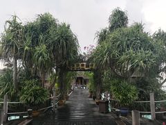 -卡帕莱度假村(西巴丹岛)