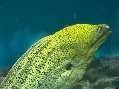 -上海海洋水族馆