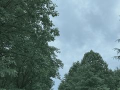 -四明山国家森林公园
