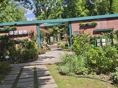 -新江湾城公园
