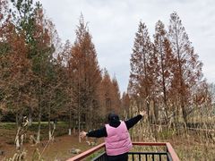 -东钱湖旅游度假区