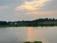 -稻香村鱼庄