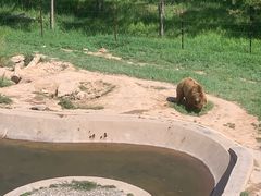 -青藏高原野生动物园