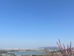-香雪海