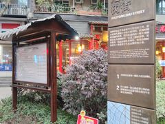 -泡桐树街