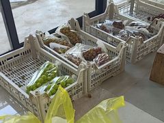 -马陆小张葡萄园农家乐