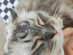 -怪兽屋·羊驼·猫咖·狗咖(俊华广场店)