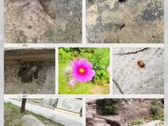 -山西壶关太行山大峡谷旅游景区