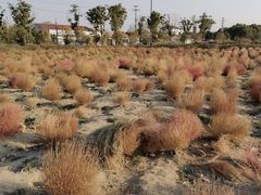 -映月湖中央公园