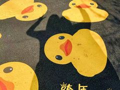 -深圳人才公园