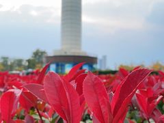 -日照灯塔风景区