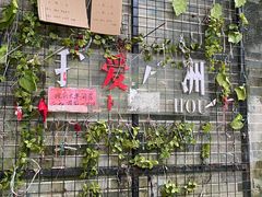 -小洲村