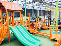 -南宫五洲植物乐园