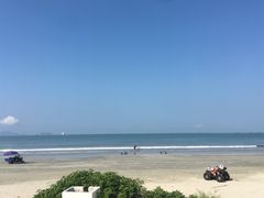 -广东惠东海龟国家级自然保护区