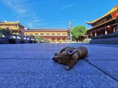 -太平禅寺