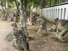 -徐州龟山景区