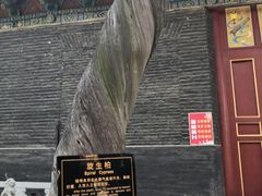 -关林