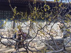 -颐和园
