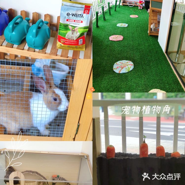去了这家托育园，她竟然不要妈妈了，探秘古力古利专业学前教育班