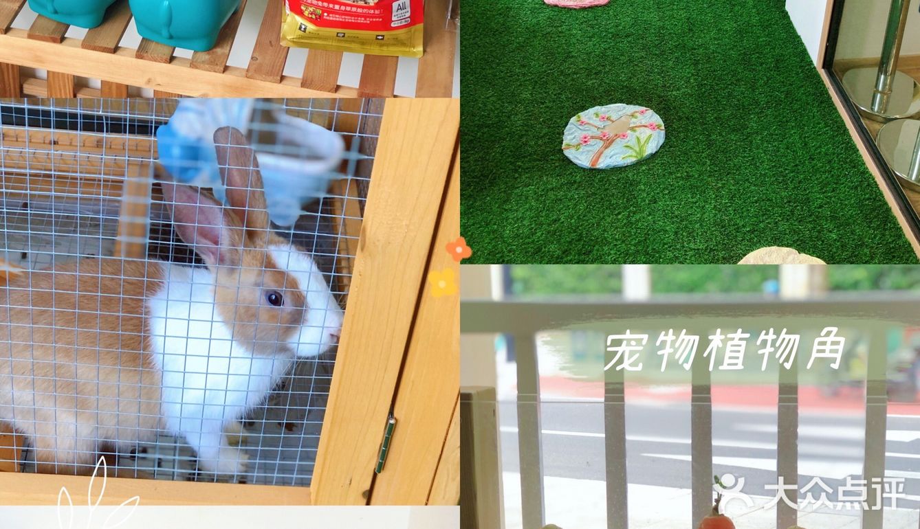 去了这家托育园，她竟然不要妈妈了，探秘古力古利专业学前教育班