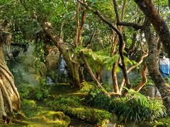 -Chom Cafe and Restaurant