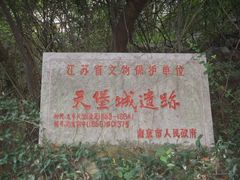 -紫金山天文台