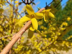 -永定河休闲森林公园