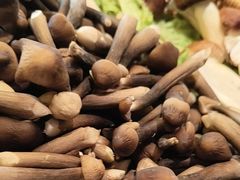 -牛YO寿喜烧和牛火锅自助(三台子万象汇店)