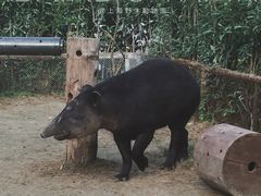 -野生动物园-停车场