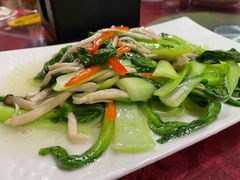 小蘑菇炒青菜-贯贯吉·清真餐厅(浙江中路店)