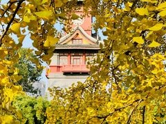 -四川大学(华西校区)