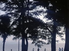 -深圳湾公园(南山区)