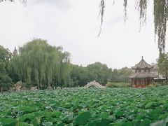 -莲池书院博物馆
