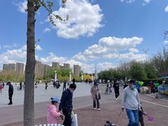 -丁香湖公园