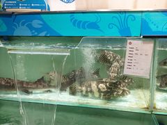 -永辉超市(郫都区爱琴海店)