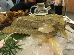 -渔娘渔家丹东海鲜(东直门店)