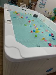 -爱婴室(上海浦建路店)