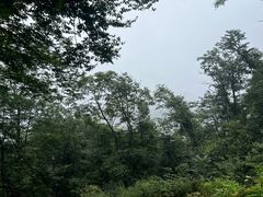 -武当山风景区-太子坡