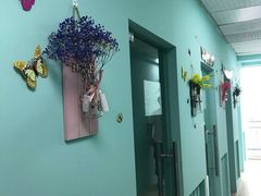 -槿言教育·雅思托福·国际教育·小语种培训留学中心(观音桥店)