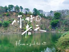 -王借岗森林公园