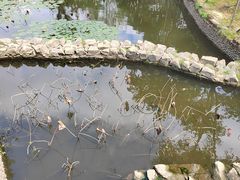 -鼓岭旅游度假区