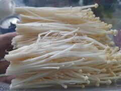 金针菇-海底捞火锅(九霄梦天地店)
