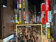 -秋叶原电器街