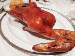 -东富酒家(龙湖西溪天街店)