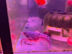 -三旗百汇商品城